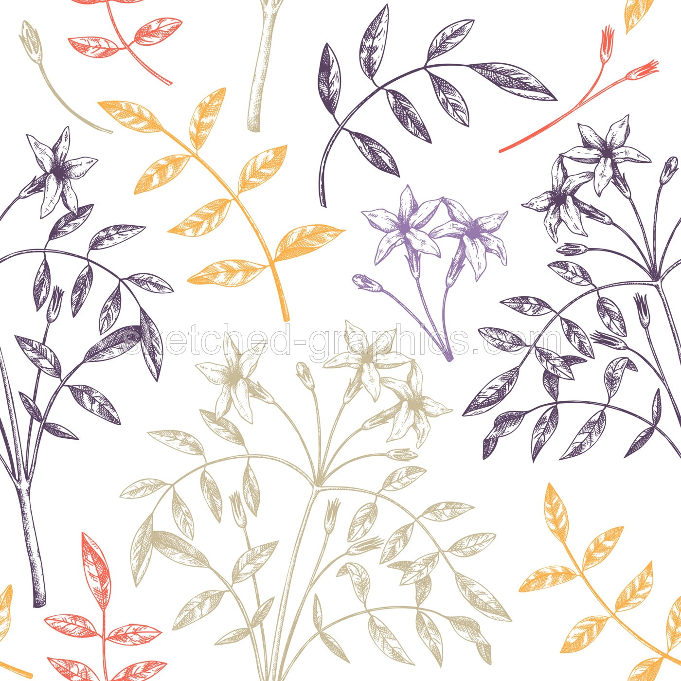 Hand sketched Jasmine seamless pattern in color. Botanical illustration with leaves and flowers. White Jasmine backdrop. Hand-drawn flowering plant background. Floral drawing on white background.  Illustration